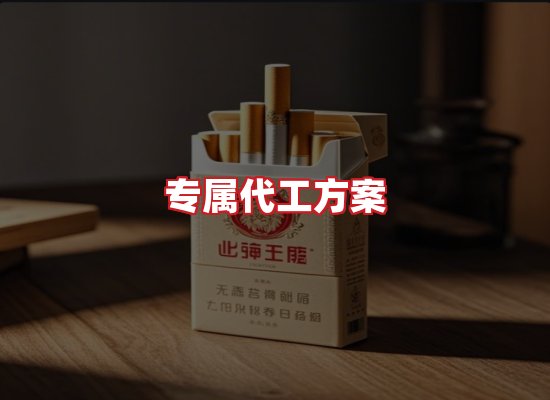 专业团队